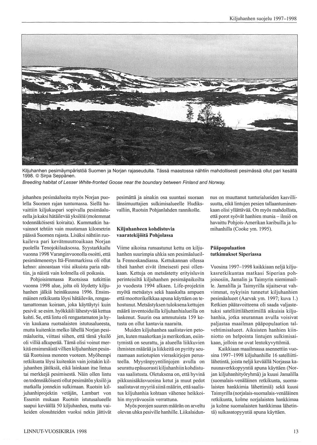 Kiljuhanhen pesimäympäristöä Suomen ja Norjan rajaseudulta. Tässä maastossa nähtiin mahdollisesti pesimässä ollut pari kesällä 1998. Sirpa Seppänen.