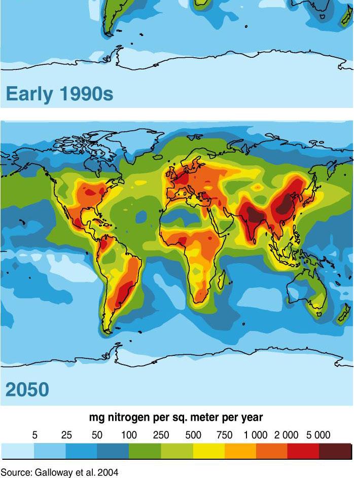 The Millennium Ecosystem Assessment has projected considerable further loss of natural biomes by 2050 in particular in the tropics and in mountainous areas (see