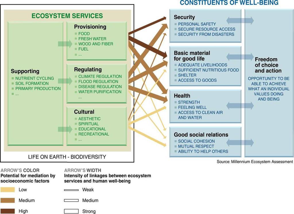 Figure 2 Consequences of Ecosystem Change for Human Well-Being 2.2. What is happening to biodiversity and ecosystem services? 2.2.1.