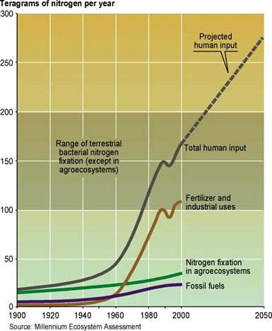Globalisation increases pressure on natural systems in developing countries. For example, it increases the incentives for over-exploitation of natural systems to feed the export market.