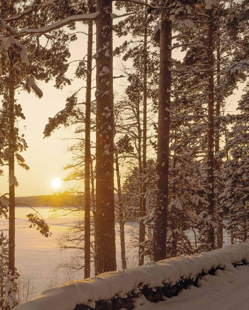 Punkaharjulle ei kai maailmassa ole vertaistansa sen ihanuutta ja kauneutta ei mikään kynä pysty kuvailemaan.