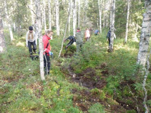 Taivalkosken Porrasojalla talkoilivat Taivalkosken peruskoulun yläasteen yhdeksäsluokkalaiset pojat, joiden liikuntailtapäivänä kivettiin kanavaksi perattua koskea kahtena eri päivänä yhteensä noin