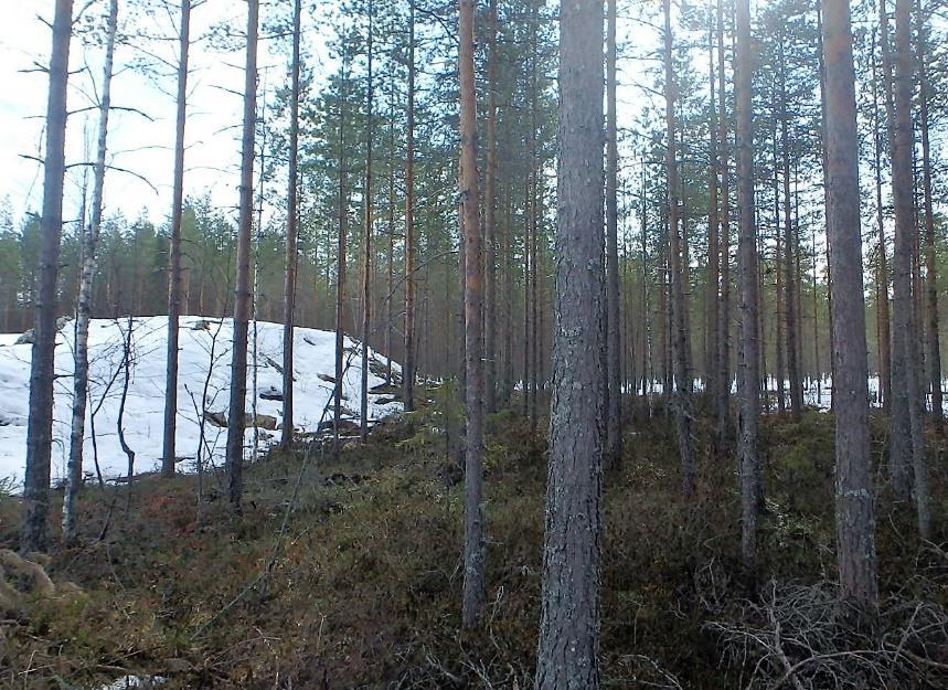 Tarkastelualue rajautuu idässä Takojantiehen ja