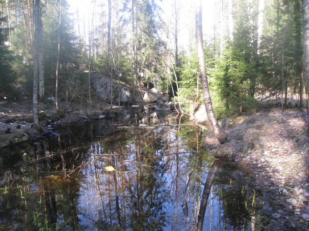 valuntareitit Kuva. Ahvenisjärventien itäpuolella oleva kosteikko L.