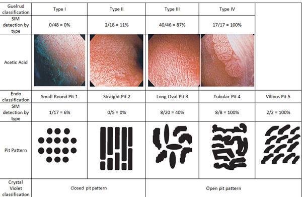 Esophagoscopy (human) Acetic