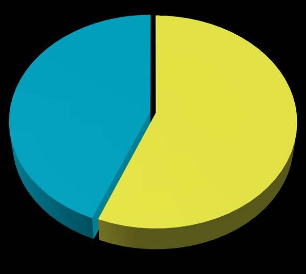 56,2 % Optisen alan vähittäiskauppa Ykstyiset silmäterveyspalvelut