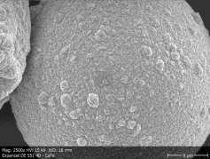 ABSOWIDE, täyteaineet -mikroskopia Vasemmalla SEM- kuva