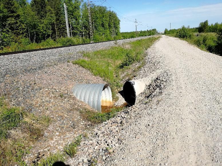 Alla olevissa kuvissa on kevään 2018