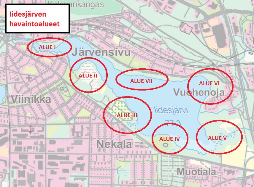 3.2. Muuttolinnusto Kartassa 6. on esitetty idesjärven havaintoalueet Tiira- havaintojärjestelmän perusteella ja taulukoissa 2. ja 3. tiivistetyt tulokset lajikohtaisesti.