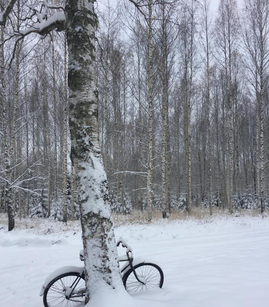 Terveydenhuollon matkat Kelalta maakunnille Soste 15