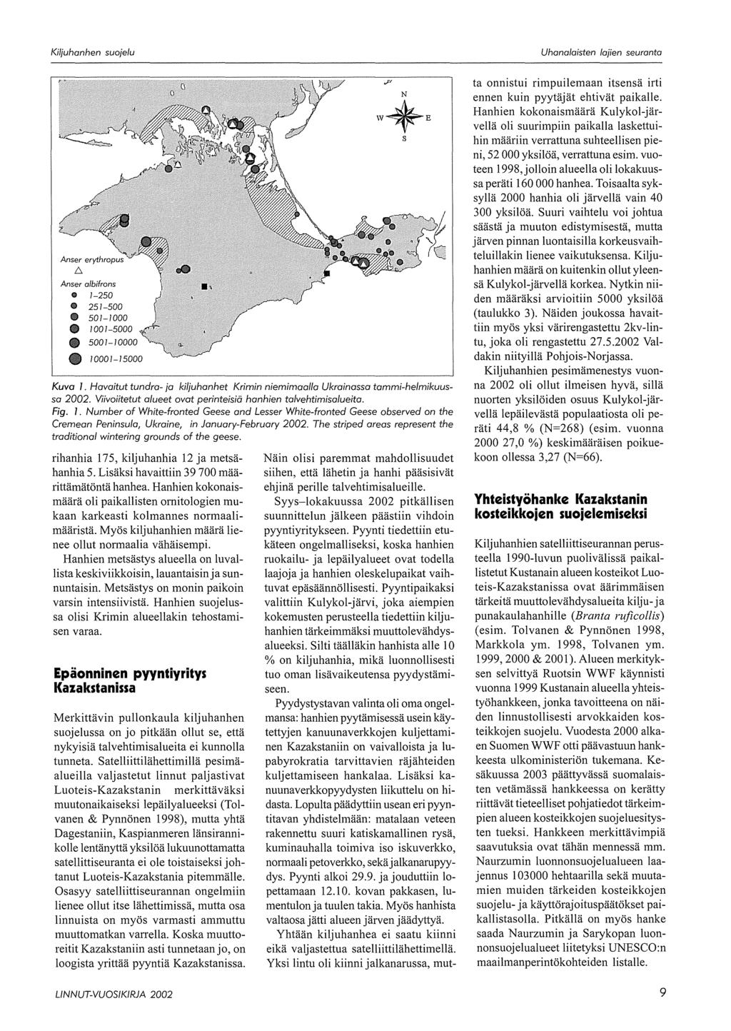 Anser albifrons e 7-250 fil 251-500 501-1000 9 1001-5000 10001-15000 Kuva 1. Havaitut tundra- ja kiljuhanhet Krimin niemimaalla Ukrainassa tammi-helmikuussa 2002.