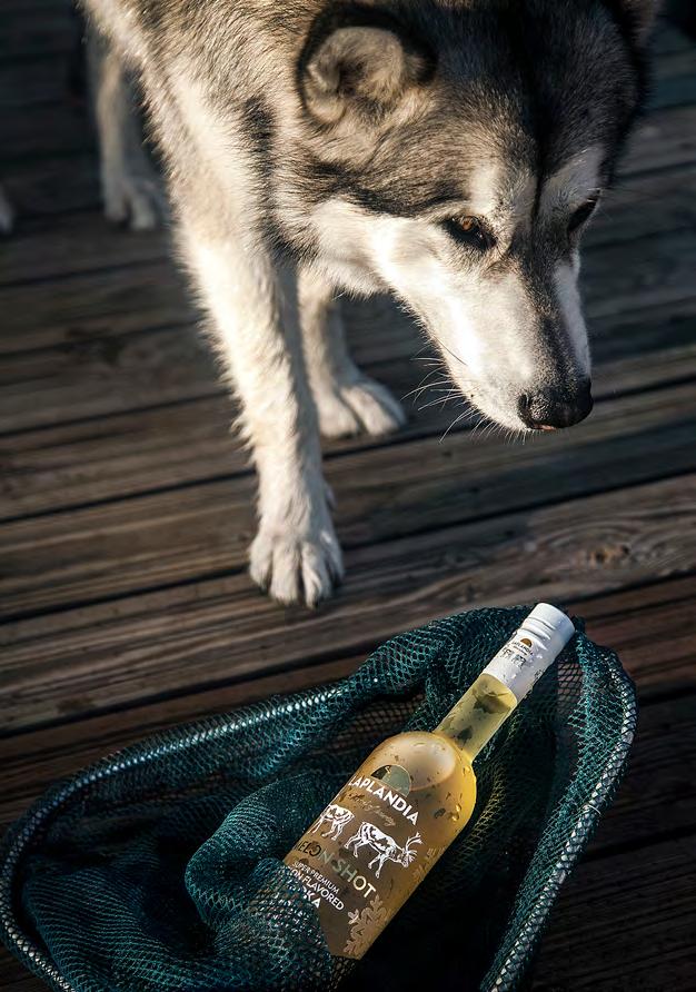 MELON SHOT Melonilla maustettu vodka maistuu yhtä herkältä ja lempeältä suussa kuin hedelmä itsekin.