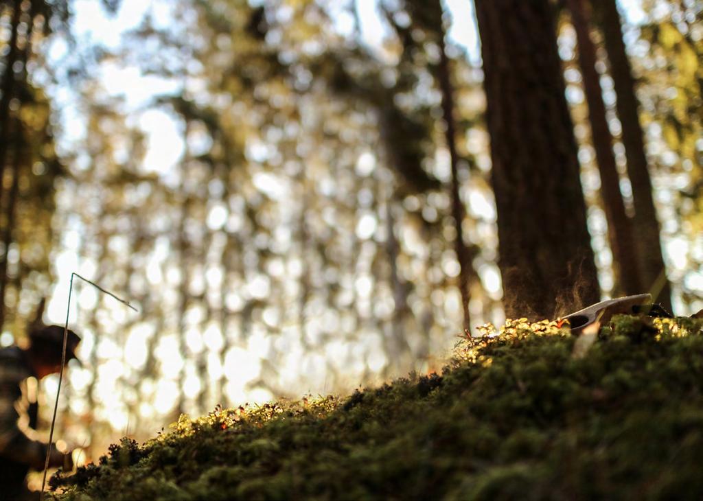 MAKUJA SUOMEN METSISTÄ Esittelemme Forest Delights kategoriassamme uuden, alalla ennennäkemättömän innovaation.