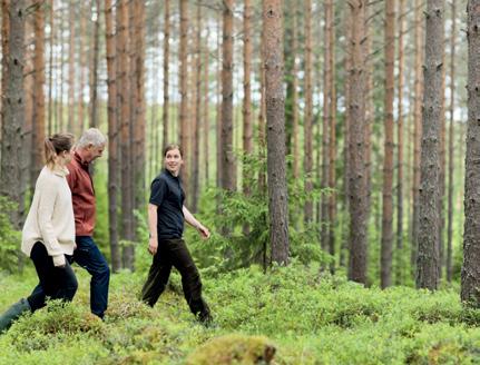 Metsä Forest haluaa olla metsänomistajien paras kumppani metsäasioissa puunkaupasta metsänhoitoja sijoitus palveluihin.