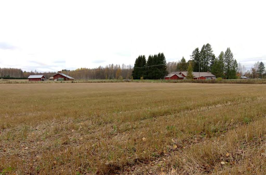 selvitys Lehmon osayleiskaava