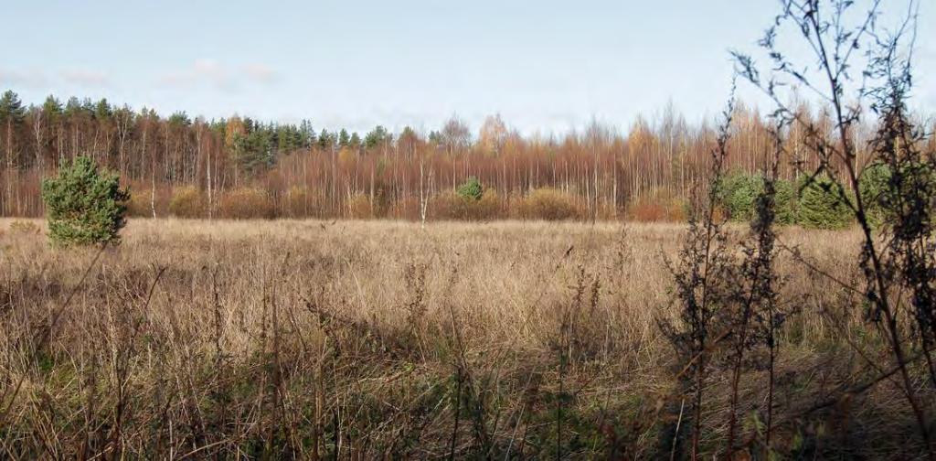 FCG SUUNNITTELU JA TEKNIIKKA OY Lehmon osayleiskaava