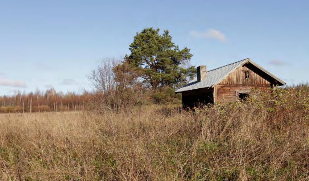 Heramolan entinen peltoaukea on ollut useita vuosia