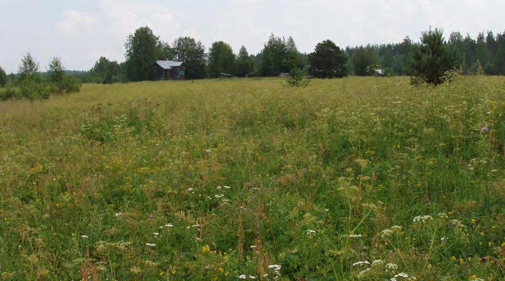 FCG SUUNNITTELU JA TEKNIIKKA OY Lehmon osayleiskaava 41 (107) Kuva 22.