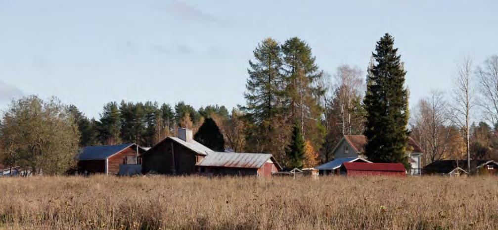 FCG SUUNNITTELU JA TEKNIIKKA OY Lehmon osayleiskaava 54 (107) Kuva 27. Peltolan pihapiiri Huotarilantieltä peltoaukean yli kuvattuna.