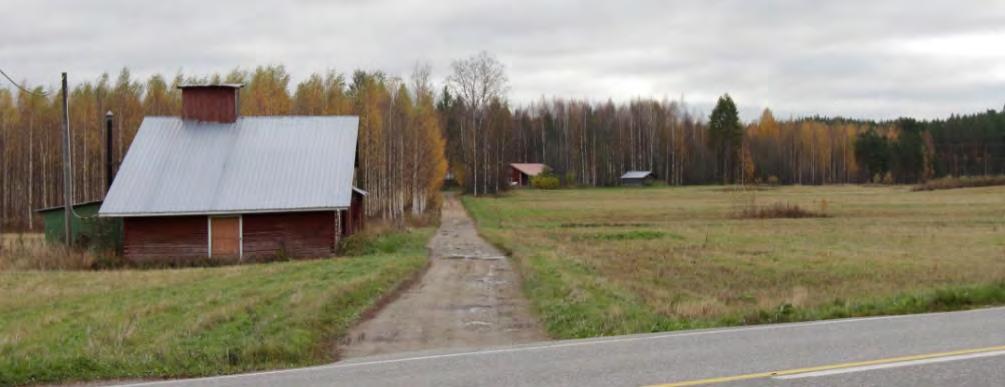 Taustalla Junkkalan pihapiiriä ympäröiviä vanhoja kuusia.