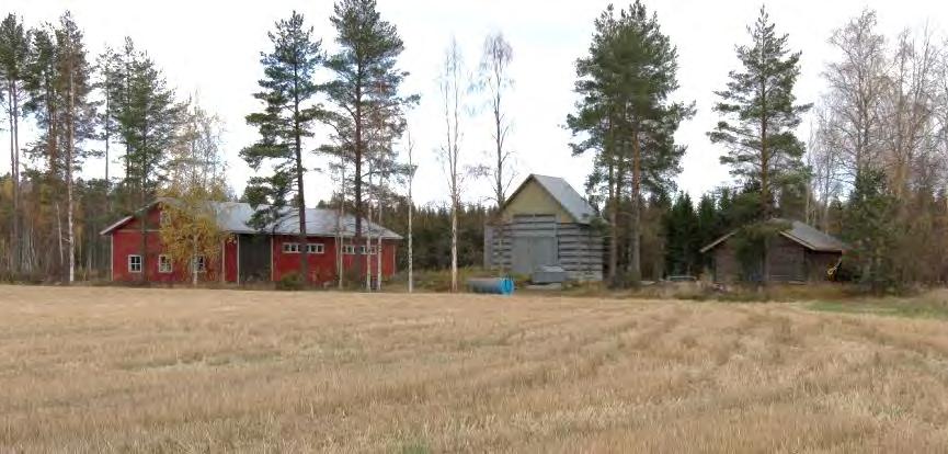 Kunto: Rakennukset ovat hyvässä kunnossa. Ympäristö: Ahola sijaitsee siihen kuuluvan viljellyn peltoaukean keskellä. Peltoaukeaa rajaa eheät metsät.