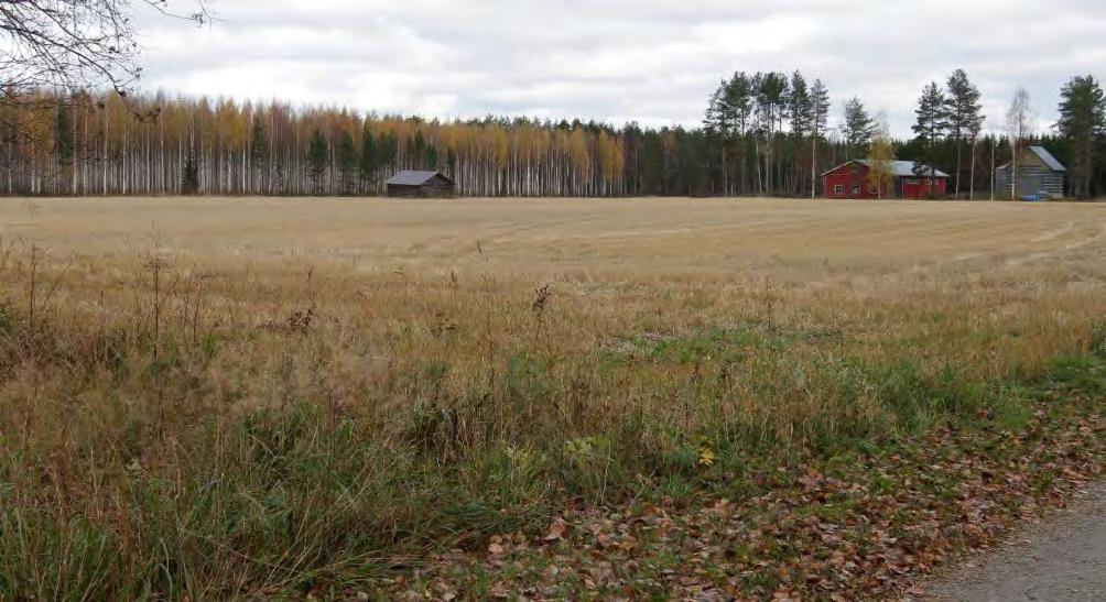 Oikealla vaalea päärakennus, sen vieressä näkyy hirsinavetta ja ladon pääty.