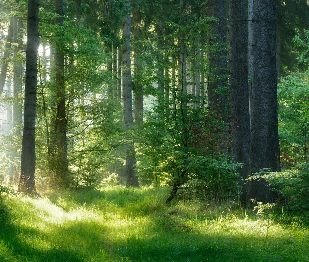 TYYLI 2 WOOD KEITTIÖ KYLPYHUONE/WC Keittiökalusteet Novart Laatat Laattapiste KALUSTEOVI Emma 146 lämmin puu