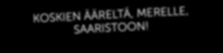 fi Toimitusmaksu 1 / lippu ticketmaster.