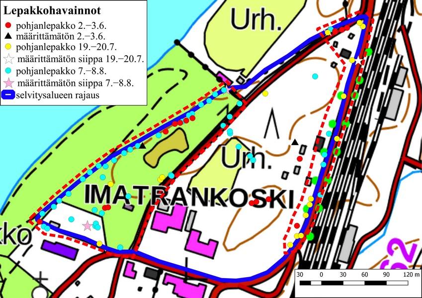 2.3. Lepakot Lepakkoselvityksen kolmella käyntikerralla tehtiin 87 havaintopaikalla yhteensä 166 lepakkohavaintoa, joista 157 koski pohjanlepakkoa, 7 viiksi/isoviiksi/vesisiippaa ja 2 määrittämätöntä