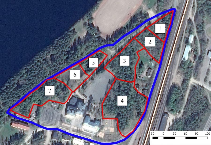 2. Tulokset 2.1. Kasvillisuus ja luontotyypit Kasvillisuus Selvitysalueella ei havaittu uhanalaisia ja eikä erityisesti suojeltavia putkilokasveja.