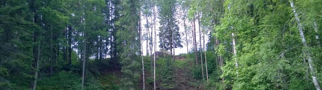 Kuva 12. Sortuma Jalasjoella. Kurikan keskustan alueella on melko loivia rinteitä, mikä pienentää alueen eroosioriskiä.