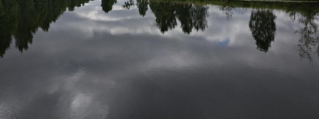 Eroosion hallitsemisessa paras ja helpoin toimenpide on rannan kasvillisuuden ylläpito.