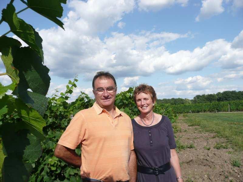 Onnistunut lii&o Sauvignon Blancin raikkauden ja Chardonnayn pyöreyden välillä. Irouléguy (Baskimaa) Pyrenei&en juurella Ranskan puoleisella Baskimaalla.