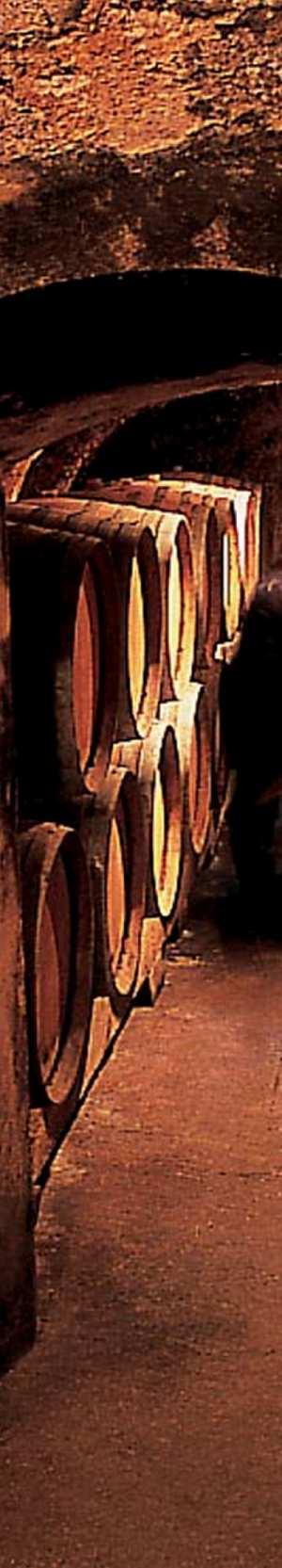 Savoie Un Ma"n face au Lac 2015 Chasselas (biodynaaminen) Tuotenro 3054 22,50 75 cl «Aamu järven rannalla» tarjoaa tuoksujen sinfonian: omenaa, keltaluumua, kukkia, raparperiä, mantelia ja pippuria.