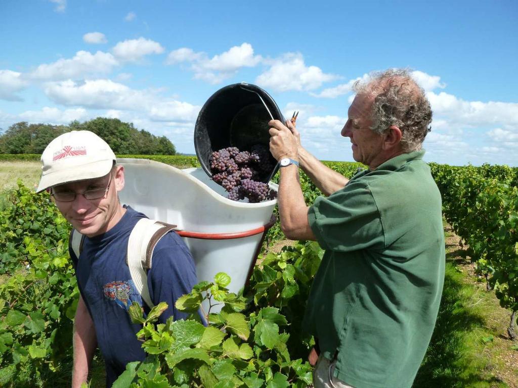 Les Fossiles 2017 Reuilly Pinot Gris (biodynaaminen) Tuotenro 3299 19,17 75 cl Mielly&ävä tuoksu,