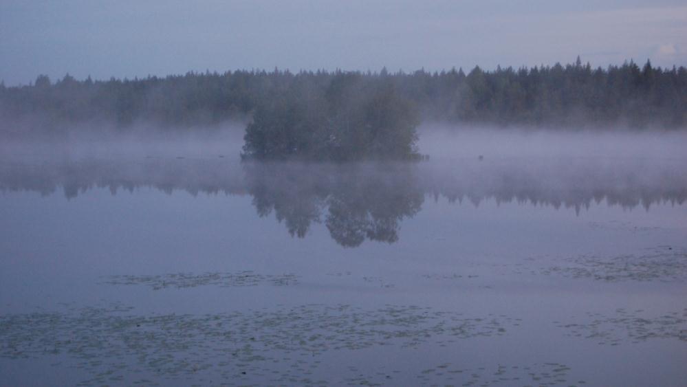 Siemennurmen rehukäytön mahdollisuuksia Ruokonata 1.