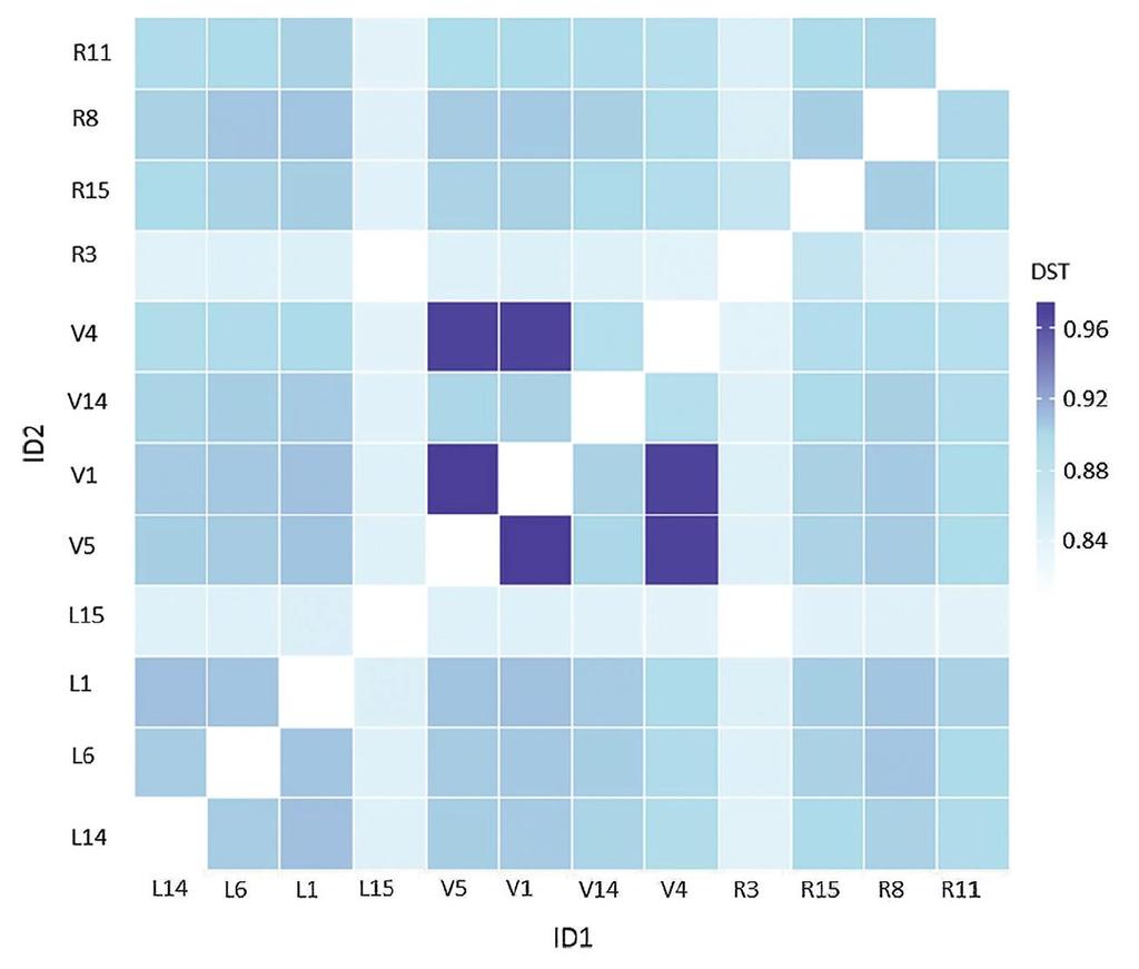 Next step: relationships of chemical and hyperspectral results with genetic data: single-nucleotide polymorphisms A heatmap of pairwise identity by descent (IBD) values for the genotypes,