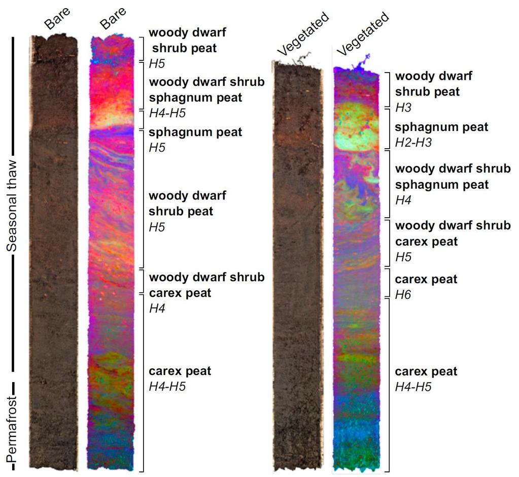 RGB image and hyperspectral false-color images showing the peat type and spatial variability within the peat mesocosms False-color