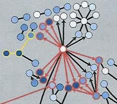 transcript 9 Cluster discovery 10 Gibbs sampling 12 Regulatory network