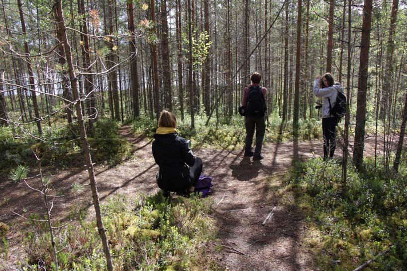 27 Kuva 17 Kirveslammen kierroksen alkupään risteyskohta kaipaa viitoitusta Kartat ja maasto-opasteet eivät vastaa toisiaan.