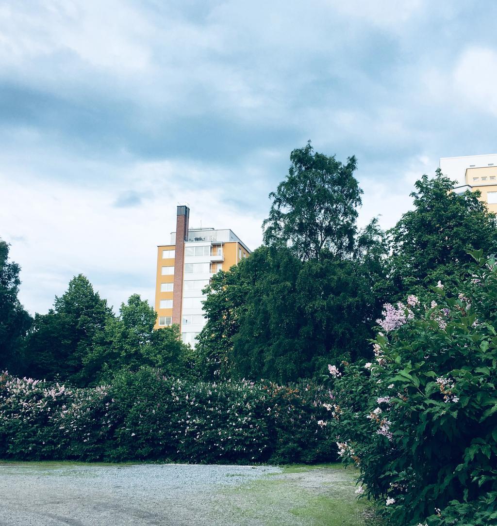 SOPIVA ASUNTO JA ASUMISYMPÄRISTÖ Mieti, millainen asunto sopii sinulle ja millaisessa ympäristössä haluat asua. Pohdi esimerkiksi seuraavia asioita: Tarvitseeko asunnon olla esteetön?