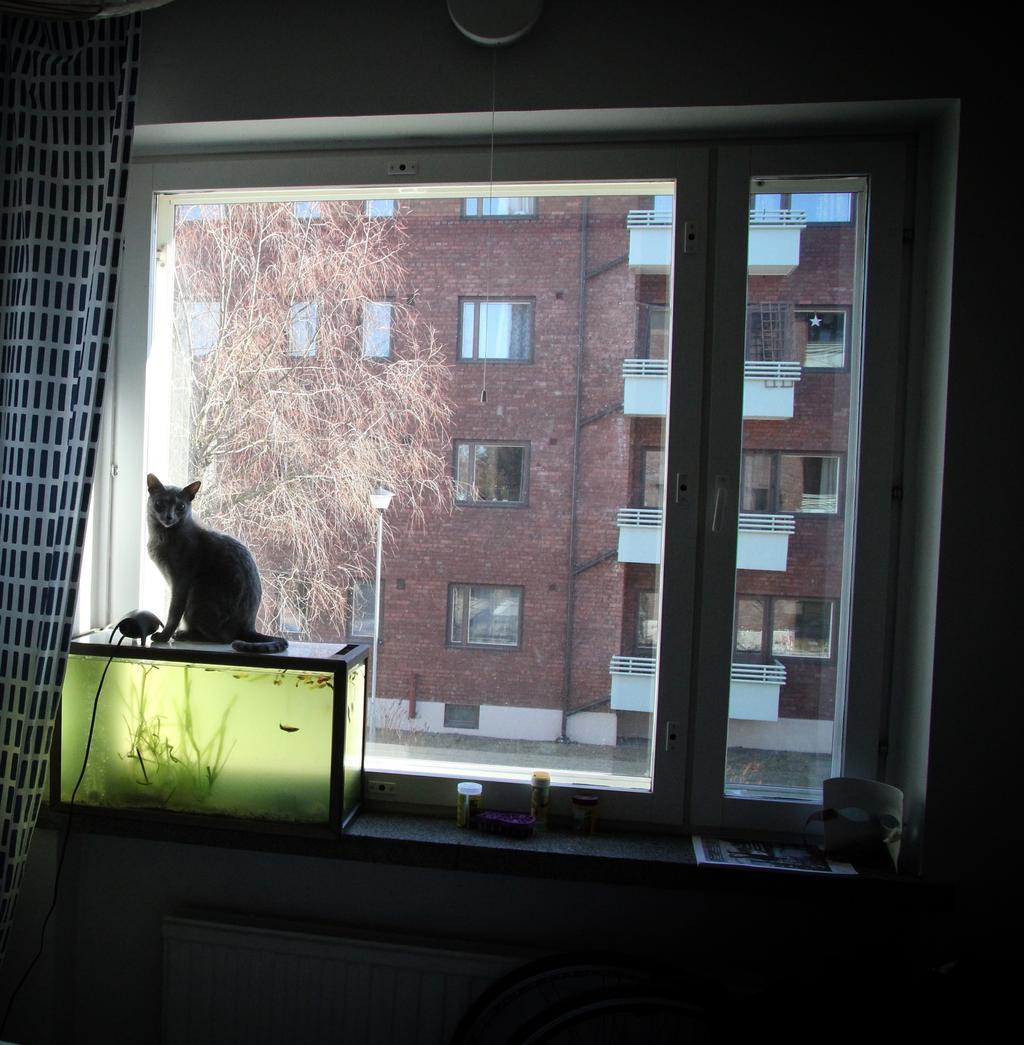PALJONKO VOIT MAKSAA ASUMISESTA? Mieti, kuinka paljon rahaa voit käyttää asumiseen. Kun muutat omaan kotiin, sinun täytyy maksaa vuokravakuus sekä kuukausittainen vuokra.