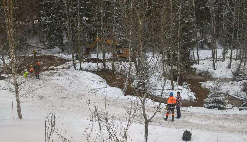 Uomien ennallistaminen mutkitteleviksi Suoristettuja uomia kannattaa ennallistaa mutkitteleviksi, jos lähialueen käyttö ei aiheuta esteitä Metsätalousalueilta on