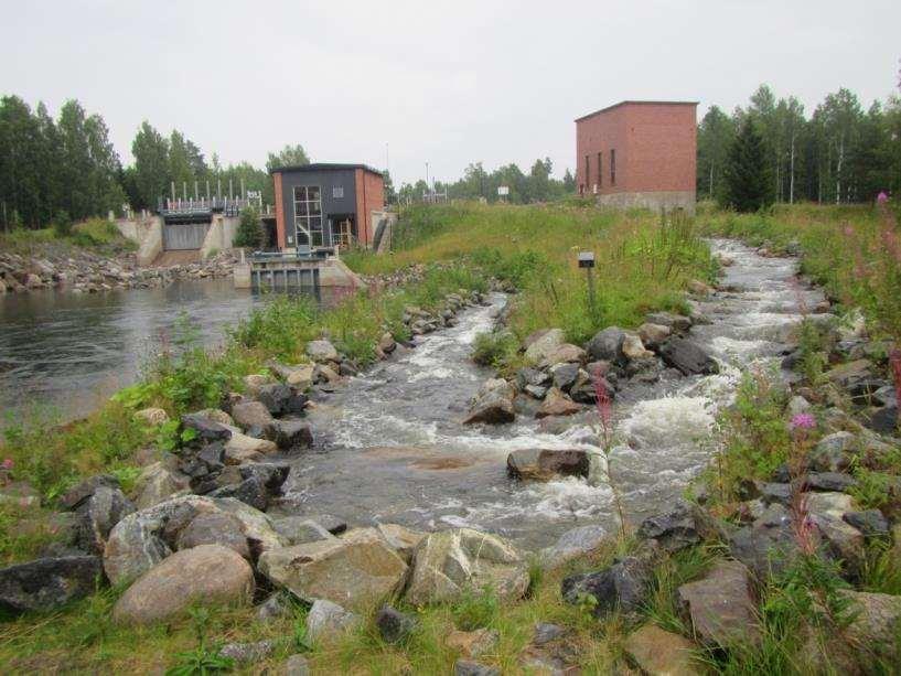 kalatalous- ja virkistysarvoon Tourujoen voimala Jyväskylässä lopetetaan uudesta koskesta on suunnitelmat Luonnonmukaiset kalatiet ovat