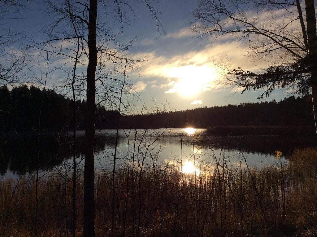 261-RAK1610 SALON KAUPUNKI KORVANMETSÄN RANTA-ASEMAKAAVA Osallistumis- ja