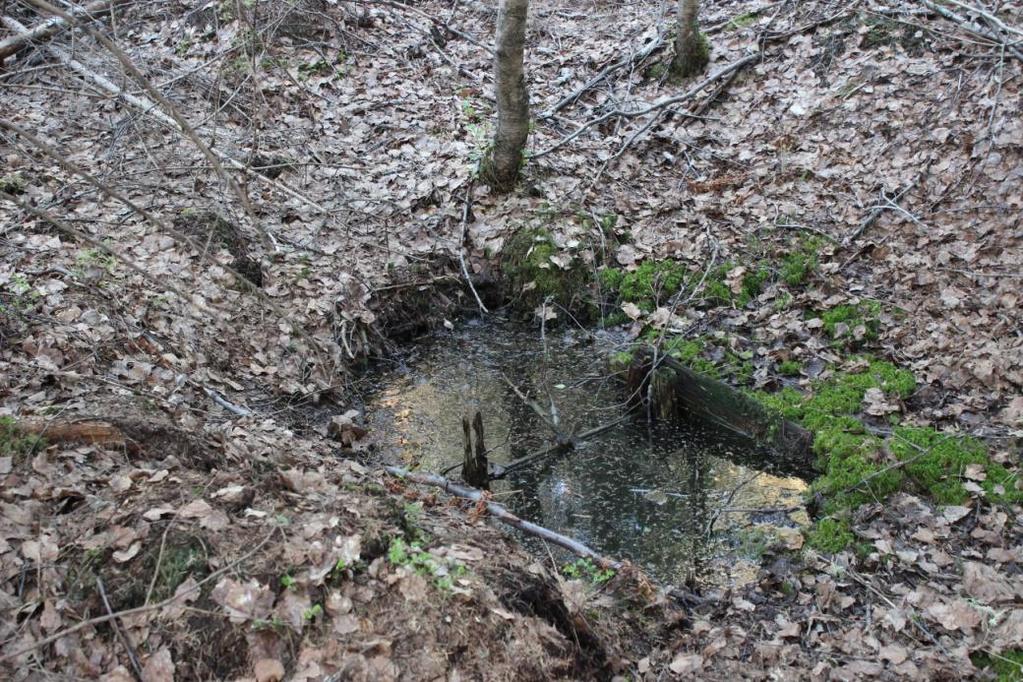 isohirvensarvijäkälää ja puikkojäkäliä. Kallion lakialueet ovat kalliometsiä (Vr). Kallion lakialueet ovat metsälain tarkoittamia erityisen tärkeitä elinympäristöjä. Maa-aineksenotto on kiellettyä.