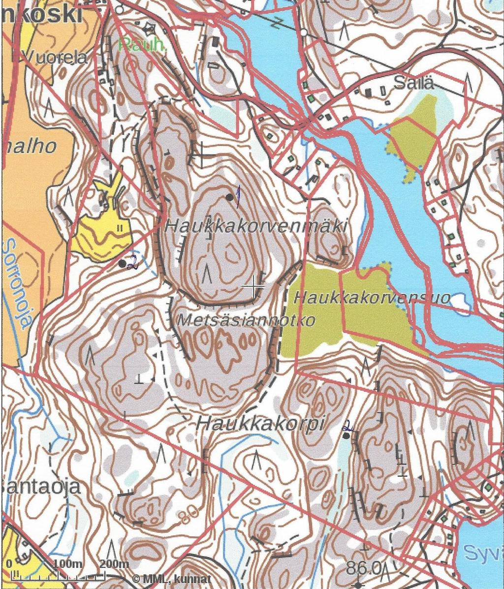 12 Kartta 2: Lintudirektiivin I-liitteen lajit Numero 1 on kehrääjä ja numero 2 on pyy (pyypareja on kaksi) 7 Lepakot 7.