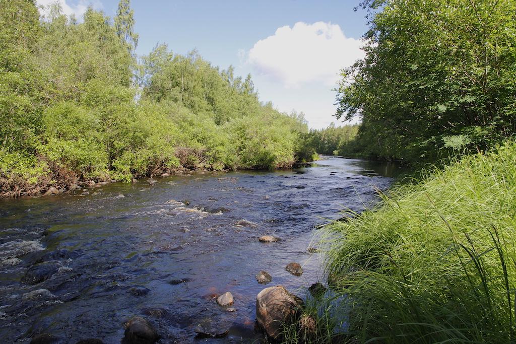 havumetsävyöhykkeen joet, joka arvioidaan Etelä-Suomessa vaarantuneeksi (VU)