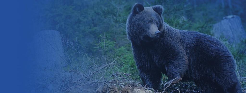 Kuhmolainen Mediahinnasto 2019 Suomussalmi LÄHEINEN, LUETTU JA LUOTETTU.