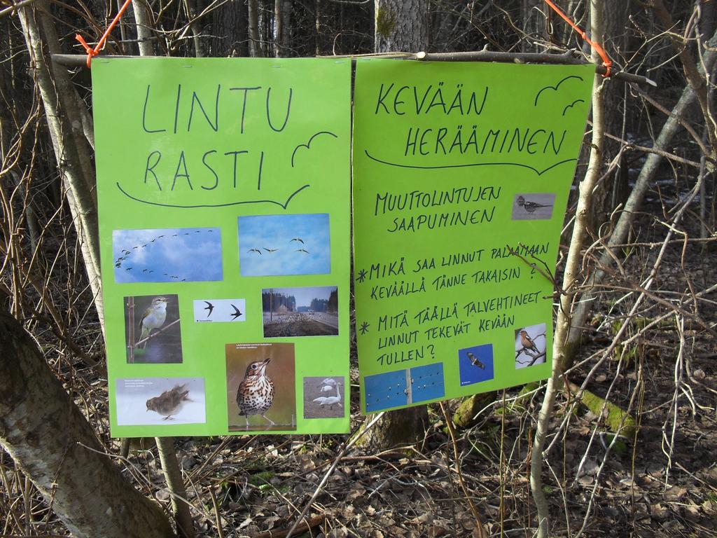 Luonnonkukkapäivän retki 19.6. suuntautui Muuramen Hetteen niitylle. Oppaina olivat Kaisa Tervonen ja Kaisa Raatikainen. Yhdistys tarjosi bussimatkan osallistujille, joita oli 30-40 henkeä.